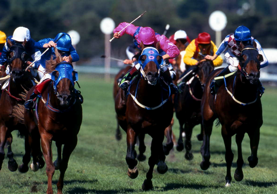 Day at the Races
